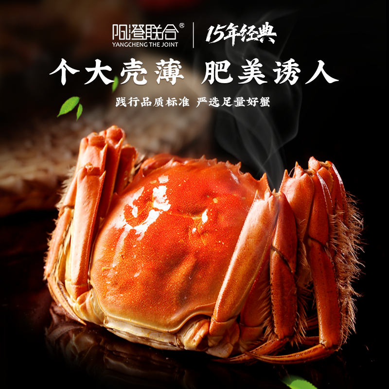 【活蟹】阳澄联合鲜活大闸蟹现货全母蟹12只螃蟹海鲜礼盒源头直发,淘宝优惠券,粉丝福利购,淘宝优惠卷