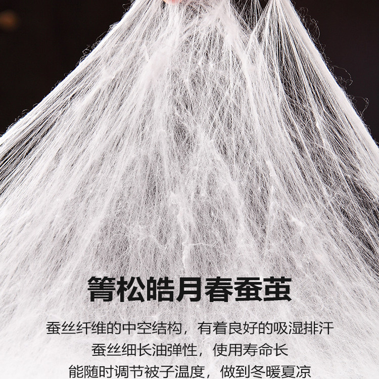 镇店之宝邵氏家纺春双宫蚕丝被100桑蚕丝冬被被子春秋被芯子母被,淘宝优惠券,粉丝福利购,淘宝优惠卷