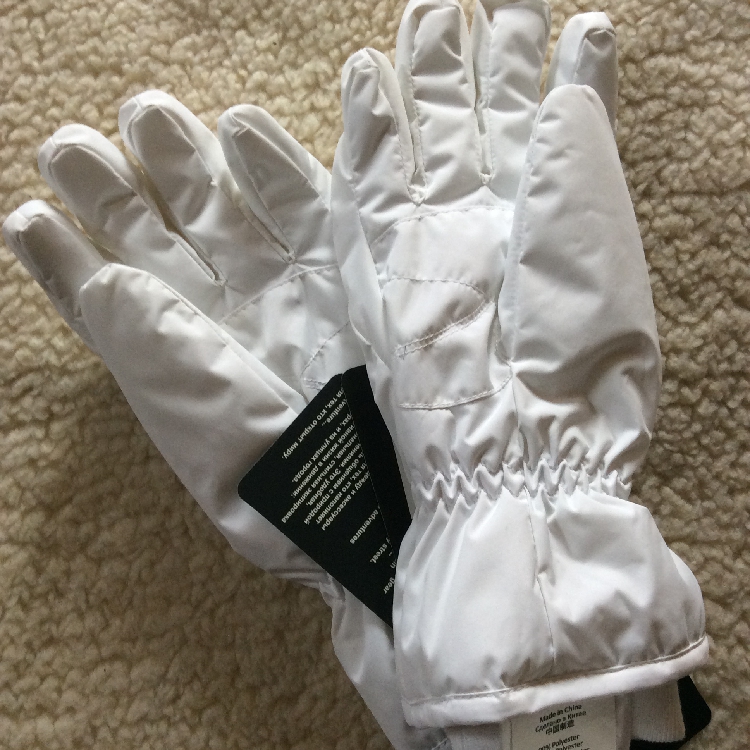 出口3M Thinsulate新雪丽防水防风保暖滑雪骑行男女时尚白色手套 - 图0