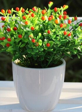 米兰花高仿真迷你植物盆栽