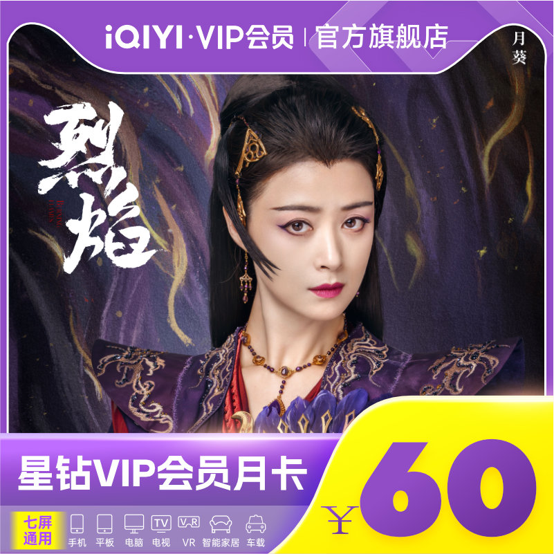 爱奇艺星钻vip会员1个月爱奇艺银河奇异果会员月卡 支持电视TV端 - 图0