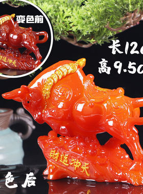 牛气冲天变色牛可养茶桌茶宠摆件