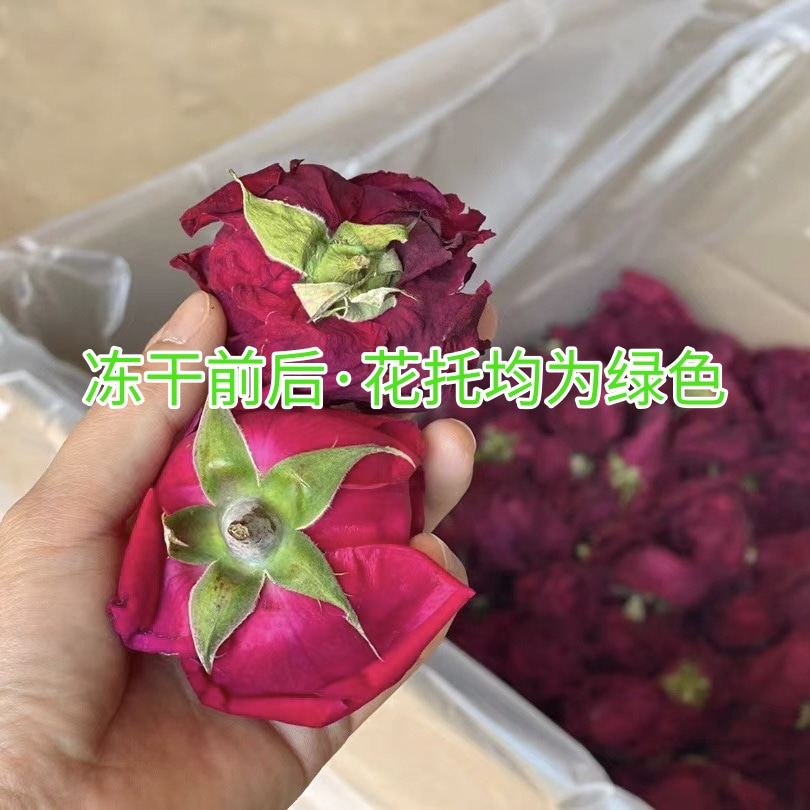 云南冻干重瓣墨红玫瑰干花冠正品特级花茶女性泡水花茶罐装食用级 - 图1