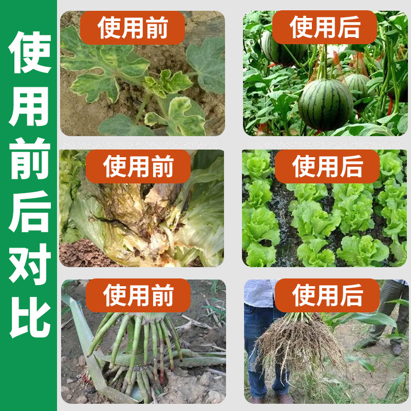 年辉科技大爆根生根剂升级版强生新根根多根旺根再生生根营养液,淘宝优惠券,粉丝福利购,淘宝优惠卷