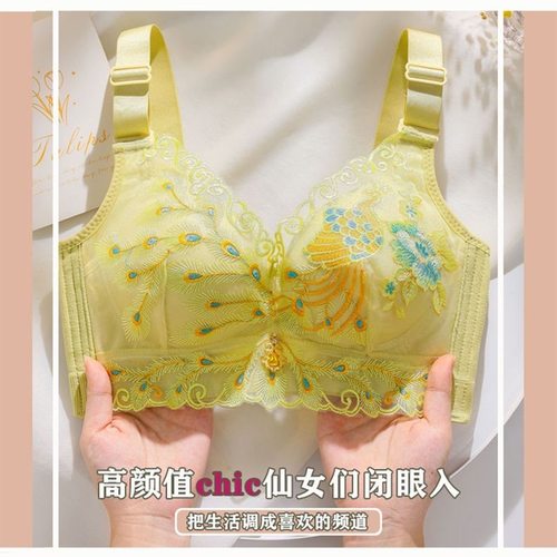 秋冬内衣女小胸聚拢显大收副乳防下垂上托调整型无钢圈文胸罩轻薄 - 图0
