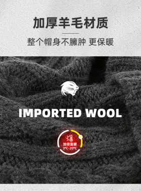 3.0升级版更柔更厚羊毛帽