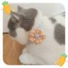 Pet collar cute plaid cat decoration dog collar neck collar silent accessories puppy cat accessories