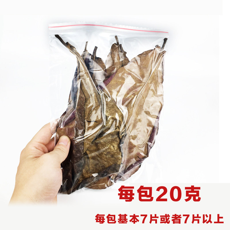 斗鱼榄仁叶懒人叶小型热带鱼龙鱼乌龟虾缸水族ph值天然榄树叶