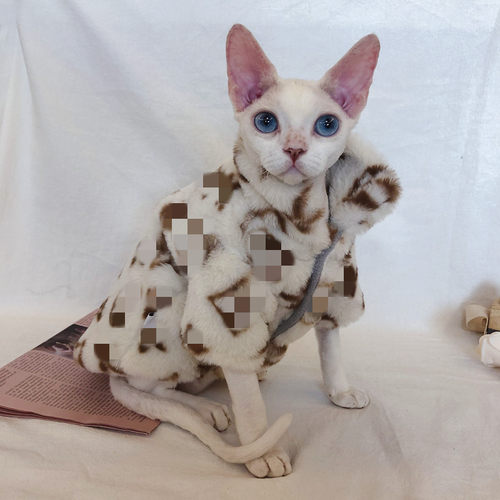 冬季斯芬克斯德文无毛猫衣服皮草加厚保暖厚外套潮牌摇粒绒防脱毛 - 图1