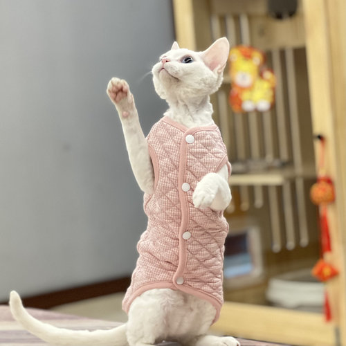 纯棉斯芬克斯无毛猫德文衣服家居服马甲矮脚背心夹棉加厚春夏秋冬 - 图0