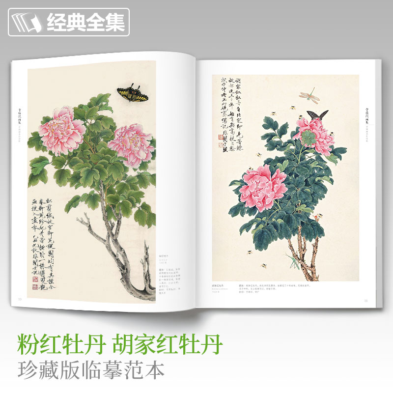 于非闇工笔花鸟8开中国画临摹画册书籍近现代工笔画大师于非暗花卉花鸟技法教材高清册页牡丹图荷塘蜻蜓翠鸟图杨建飞主编 - 图1