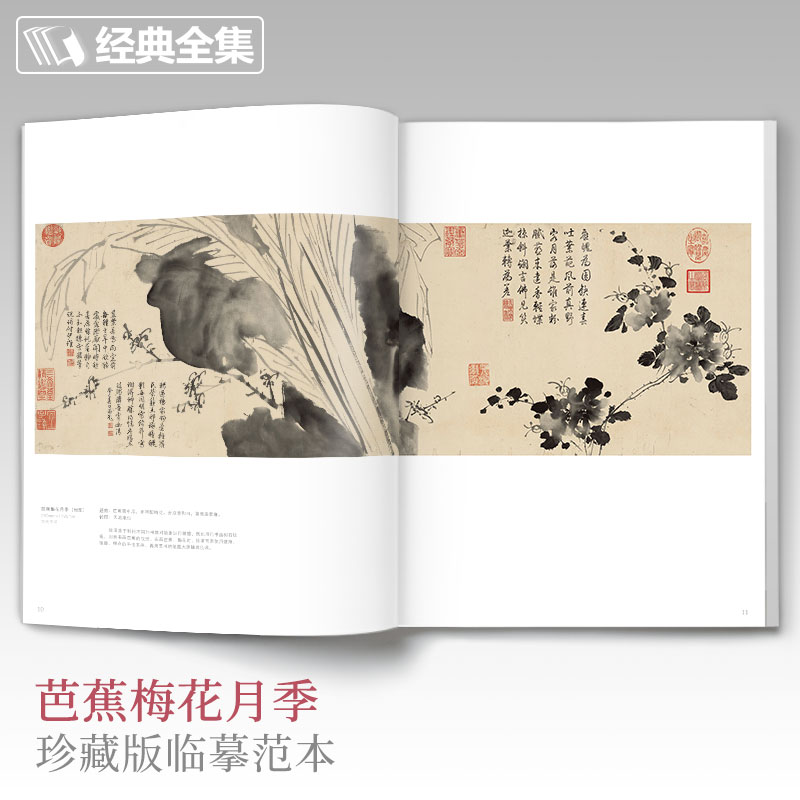 徐渭画集 8开中国画临摹画册书籍写意泼墨水墨国画杂花图花鸟技法教材程高清临本册页 初学者花卉名作赏析鉴赏杨建飞主编 - 图1