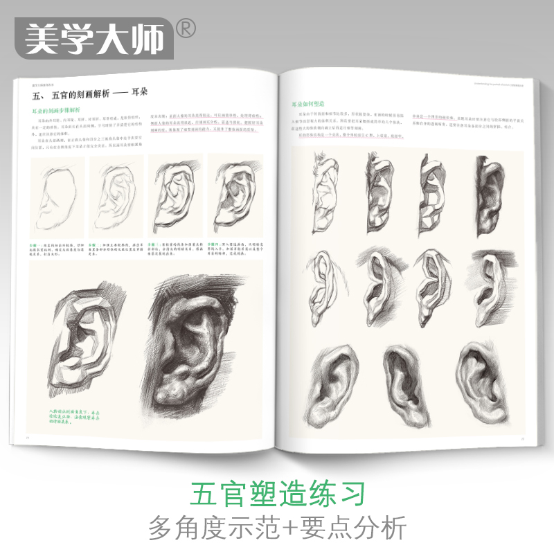 美学大师 领悟素描头像书籍 大八开临摹范本 人物绘画结构五官解析对画照片教程 美院联考美术高考名师示范教材正版