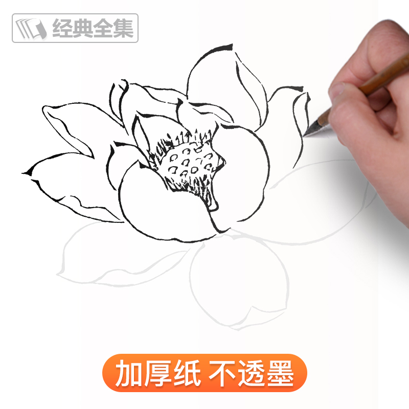 【3册全套】芥子园画传浅印描摹本兰竹梅菊草虫翎毛山水谱中国画入门零基础书籍白描画稿线稿临摹本超级线条初学者工笔画自学教材 - 图2