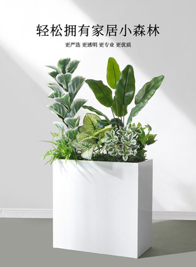 仿真绿植造景组合装饰摆件