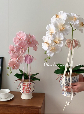 家居摆件青花瓷+蝴蝶兰新中式