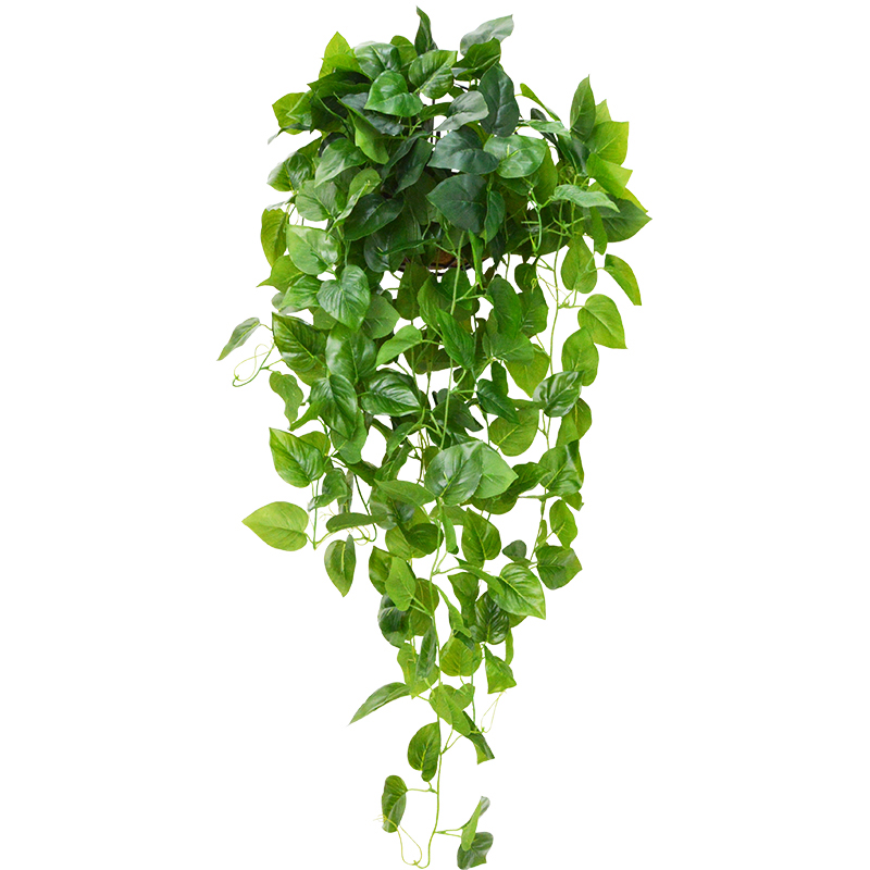 装饰遮挡挂墙绿植仿真树叶子绿萝假花藤条室内