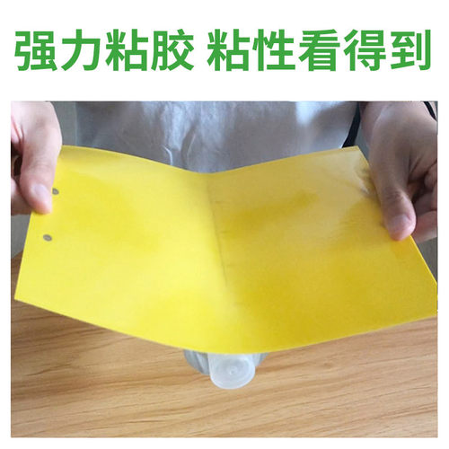 黄板双面粘虫板诱虫板纸贴黄色黏虫板灭小飞虫蓟马果园大棚 200张 - 图2