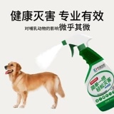 За исключением брызги с брелками для блохни в комнате для уничтожения вшей для лечения блох, порошковой порошок для домашней медицины