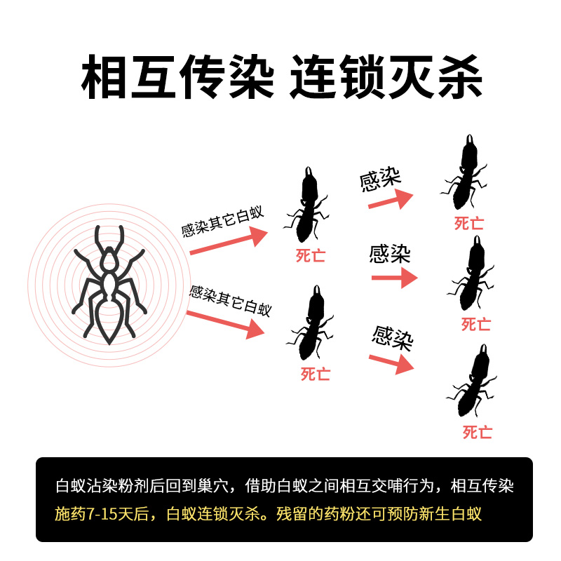 白蚁药家用防治专用药杀虫剂室内灭杀消灭白蚁喷剂飞蚂蚁喷雾正品-图1