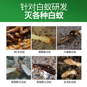 科凌虫控蚂蚁药呋虫胺家用强效室内非无毒喷雾剂全窝农用菜地端杀