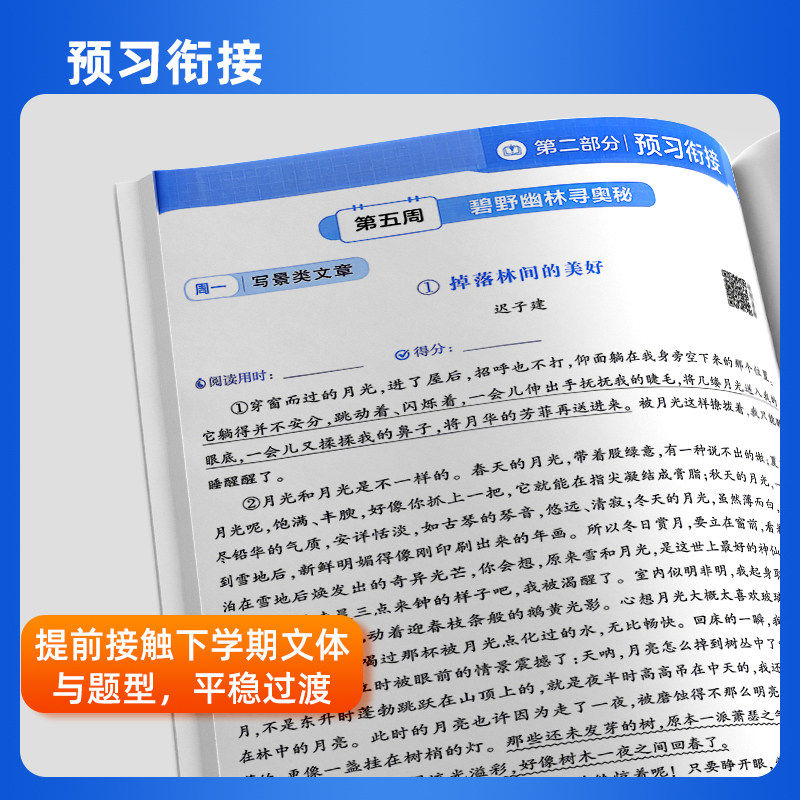 2025秋小学5星学霸一二年级三年级四4五5六上册下册语文数学英语人教版北师江苏教版译林教材专项提优大试卷课时作业同步训练五星