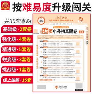 王朝霞活页小升初真题卷专项毕业总复习