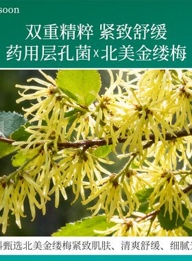 ysoonar脸部正品面膜区粗大冻膜