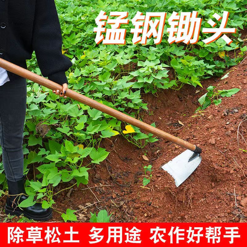 【挖坏包赔】农用锄头种菜家用农具户外全钢加厚开荒翻土锄草神器 - 图1