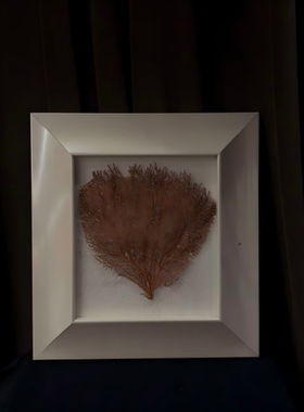 中古风复古风天然红海树装饰画摆件样板间售楼处天然实物画装饰品