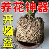 Активатор почвы Черная вода удобрения Универсальная сосна эссенция цветочная растительная пластина Связанная и улучшенная активация почвы сокровища