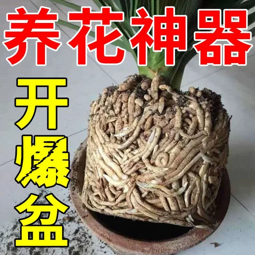 Активатор почвы Черная вода удобрения Универсальная сосна эссенция цветочная растительная пластина Связанная и улучшенная активация почвы сокровища