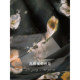 ເສື້ອຢືດ chiffon collar ທີ່ຊັບຊ້ອນ, feminine wrap