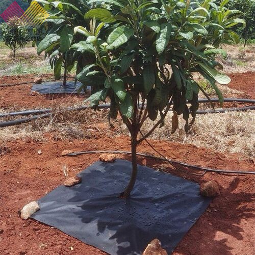 新型防草布果园果树农用生态无纺布可降解地布抗老化耐用裁片 - 图0