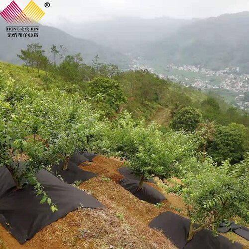 新型防草布果园果树农用生态无纺布可降解地布抗老化耐用裁片 - 图1