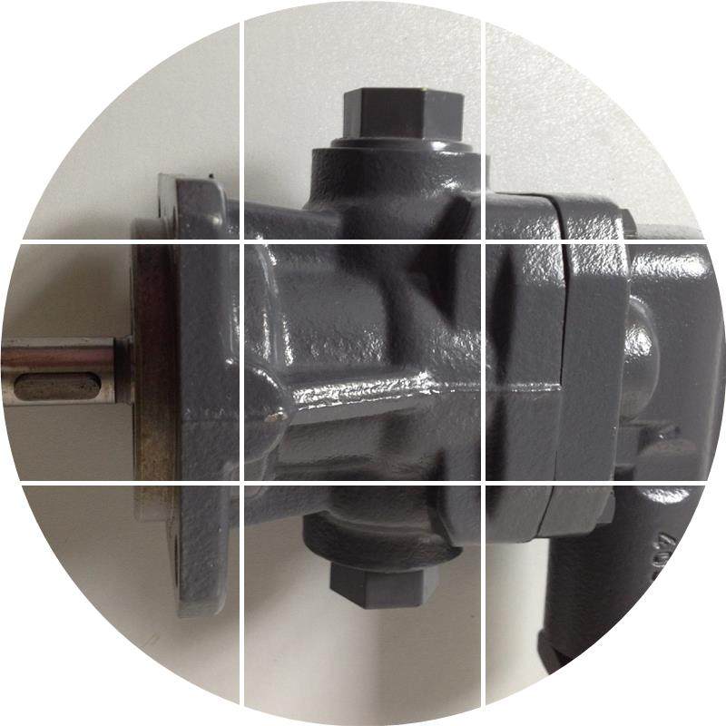 现货德国  齿轮泵 油泵 GERA PUMP KF6RF1-D25 KF6RF2-D25,淘宝优惠券,粉丝福利购,淘宝优惠卷