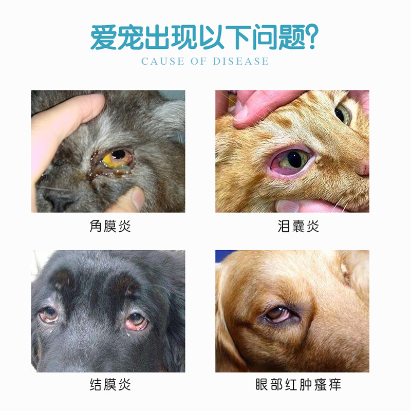 杏辉滴眼液滴朗见大猫咪去泪痕眼部红肿炎症结膜炎角膜炎犬猫护理 - 图0