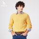HAZZYS Hajis new casual and fashionable personalized round neck pullover sweater knitted sweater men