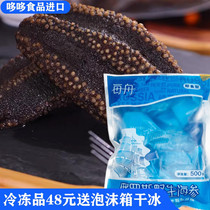 Temporary special price wild ready-to-eat sea cucumbers 500g independent small packaging festive delivery courtesy saucepan soup with vegetable stock