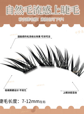 梦朵公主狐系分段斜飞上睫毛
