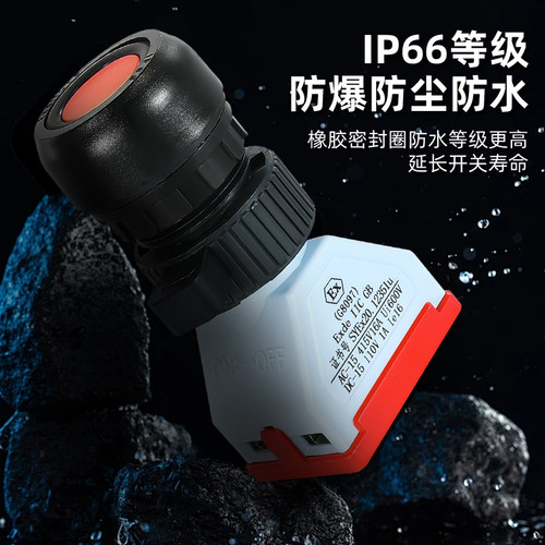 G8097/8030防爆防腐按钮控制开关自复位一常开常闭塑料防水开孔30 - 图0