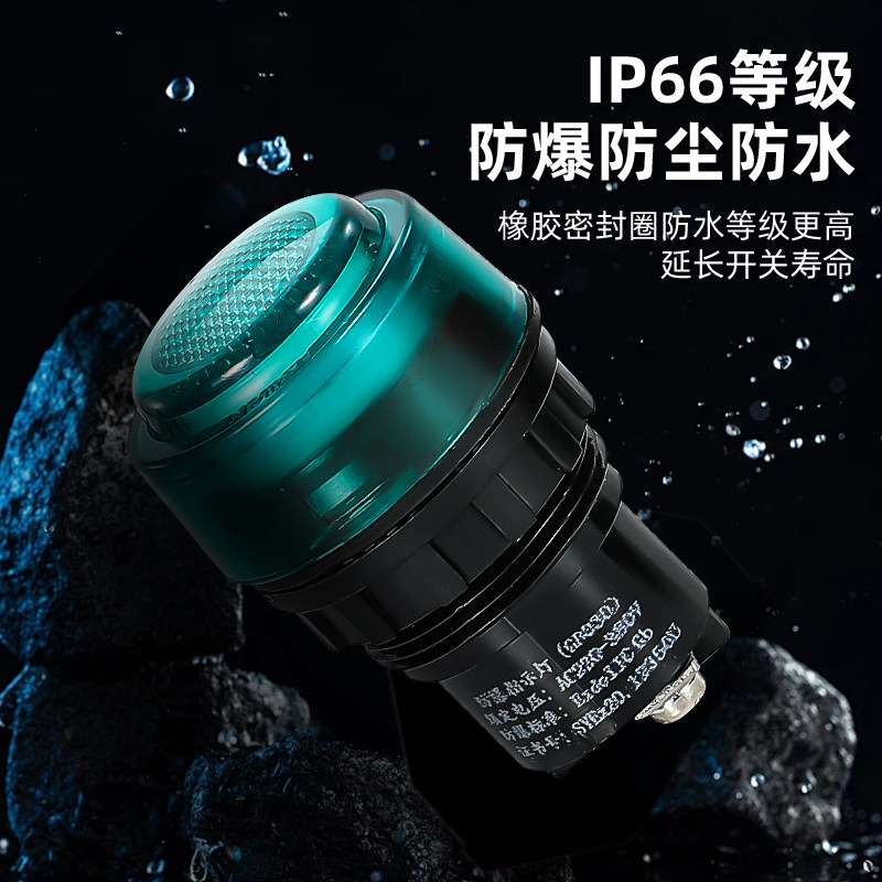 G8030防爆防腐电源指示灯信号灯红绿黄蓝白五色开孔30MM 220V380V,淘宝优惠券,粉丝福利购,淘宝优惠卷