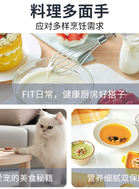 MQ5025plus辅食机料理棒