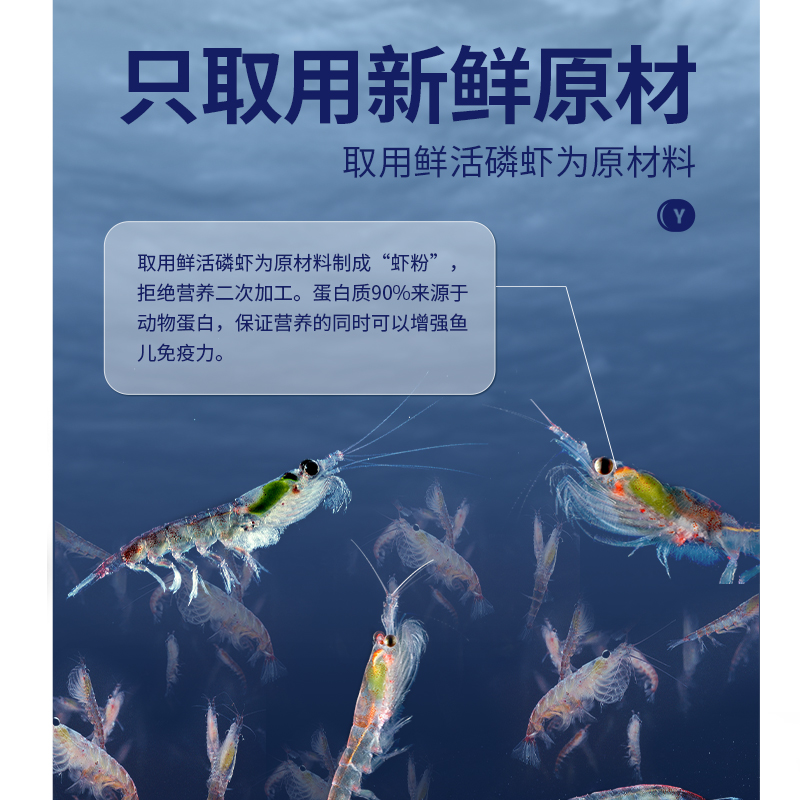 yee鱼饲料贴片鱼食孔雀鱼粮观赏鱼小型鱼丰年虾贴片金鱼开口鱼粮 - 图1