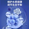Yee nitrifying bacteria decompose fish feces and purify water quality