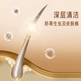 Yee Hamster ванна песчаная моча золотой шелковый медведь, устранение вонючей ванной песок Лето -часы туалетная туалетная ванная комната для песчаного горшка