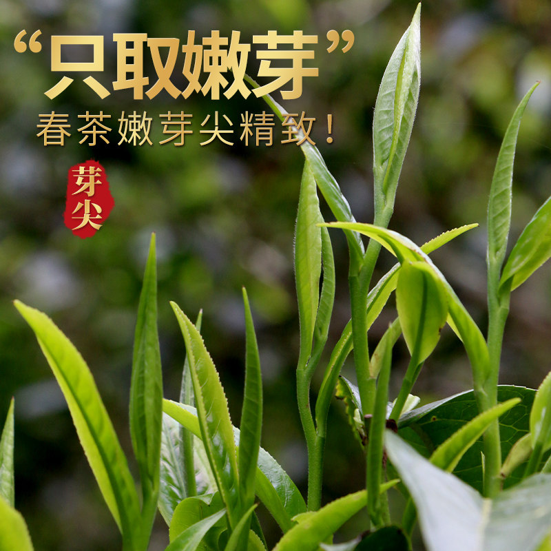 特级古树蜜香大金针2025早春嫩芽头滇红沁爱云南凤庆滇红茶叶500g,淘宝优惠券,粉丝福利购,淘宝优惠卷