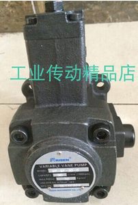 VP-SF-20-D VP-SF-40-D RISEN液压油泵 变量叶片泵 VP-SF-30-D