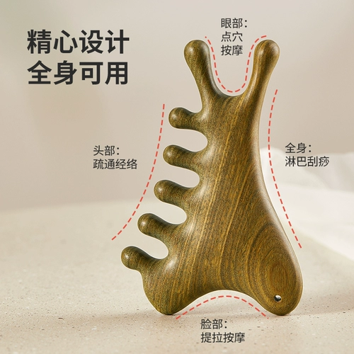 初心 Многофункциональная массажная массажная терапия с многофункциональным массажом зеленой сандало