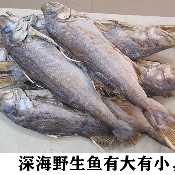 深海马友鱼干咸鱼梅香马友鱼干海鱼干海鲜水产干货茄子煲佐料 - 图1